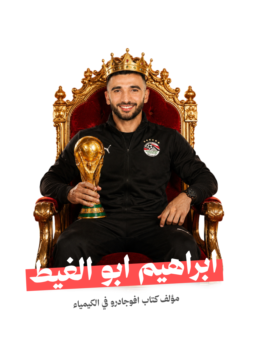 المهندس احمد صبره النجار